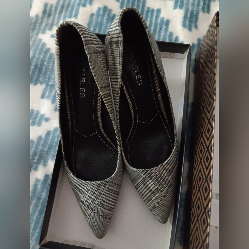 Charles High Heels Size 8